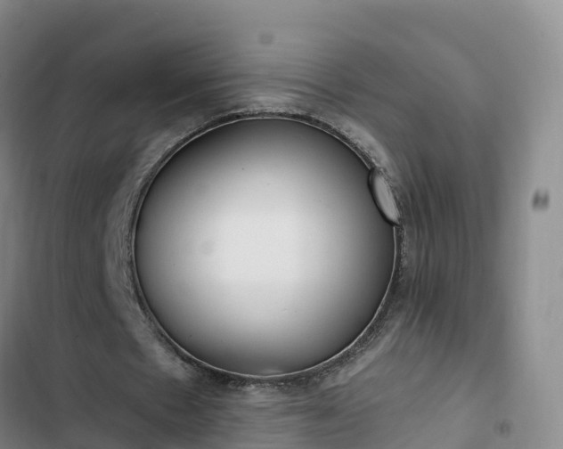 X0000102770481200808251056