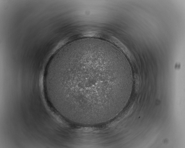 X0000102770482200808251056