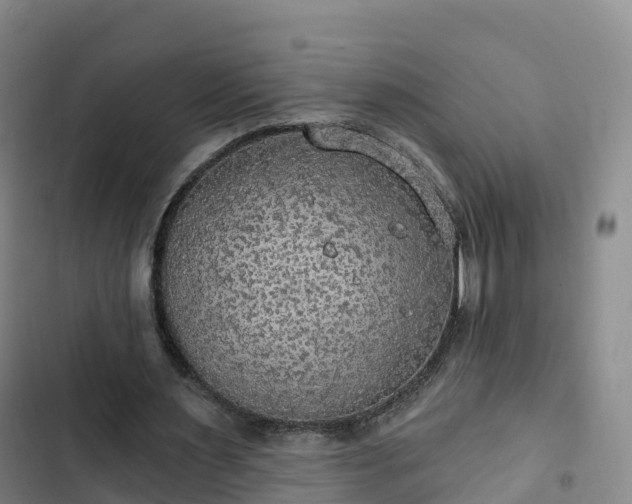 X0000102770483200808251056