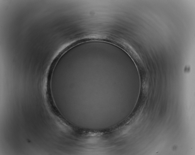 X0000102770484200808251056