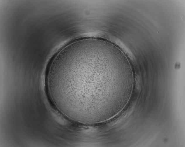 X0000102770486200808251056