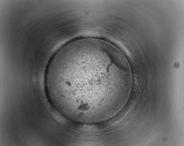 X0000102770487200808251056