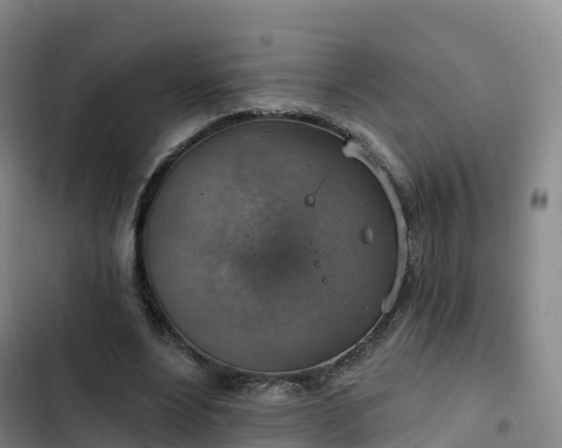 X0000102770488200808251055