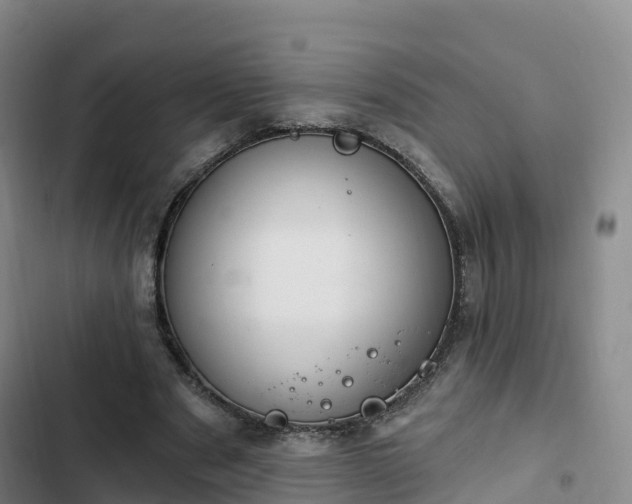 X0000102770489200808251055