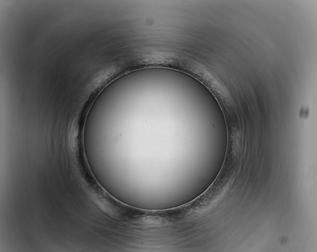 X0000102770490200808251055