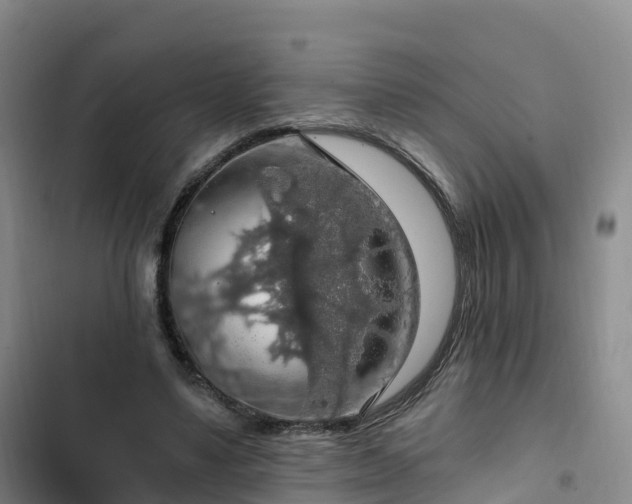 X0000102770491200808251055