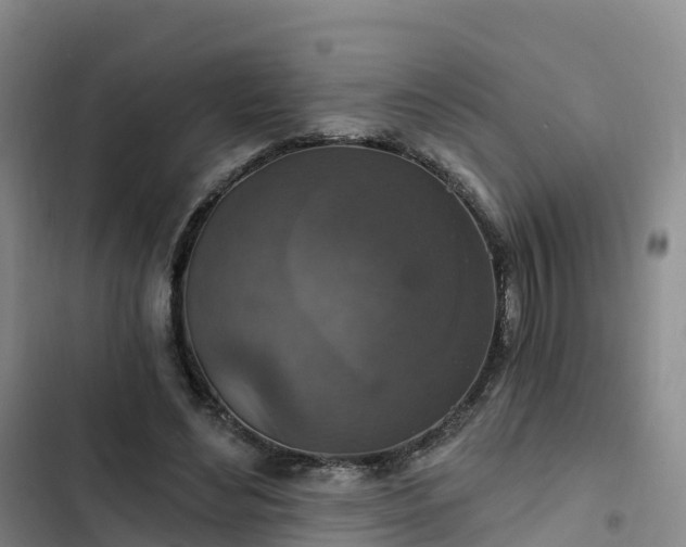 X0000102770492200808251055