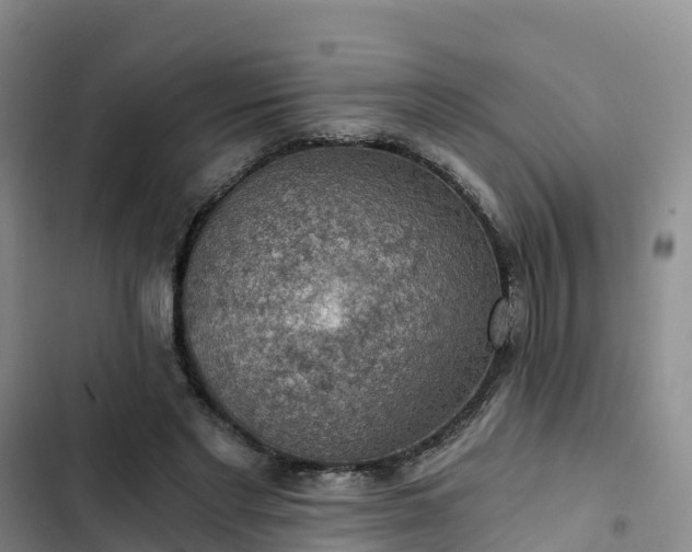 X0000102770493200808251055