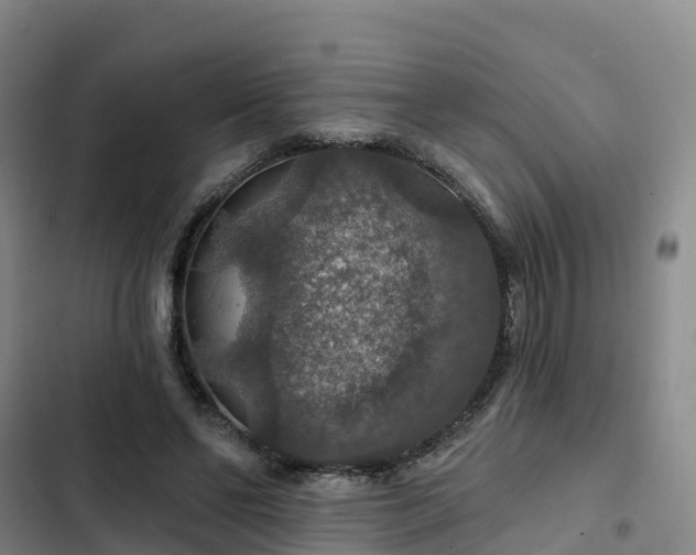 X0000102770494200808251055