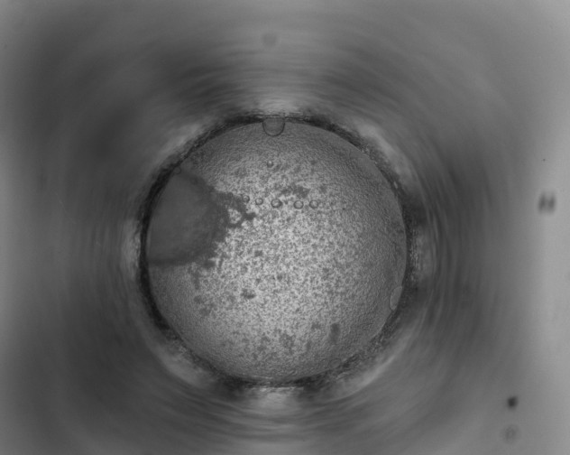 X0000102770495200808251055