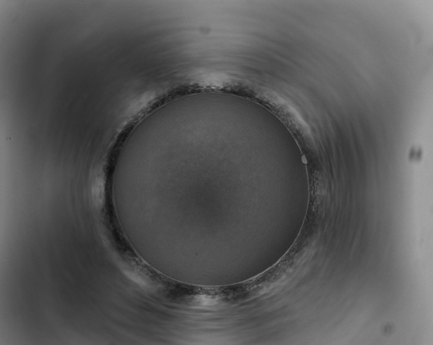 X0000102770496200808251055