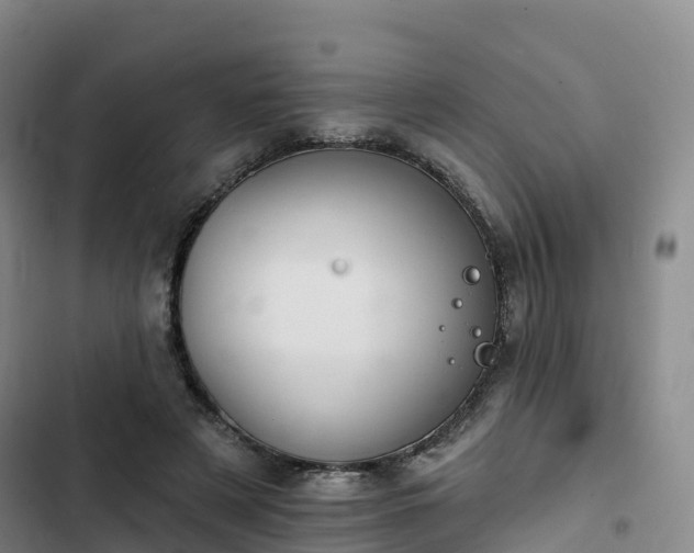 X0000102770497200808251055