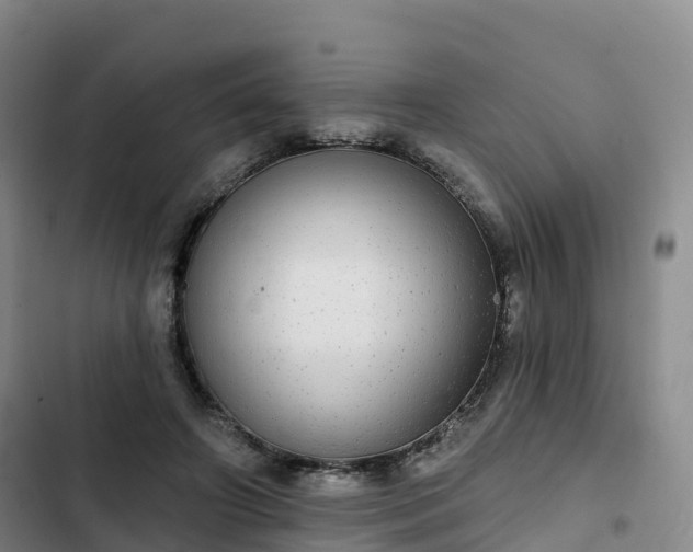 X0000102770498200808251055