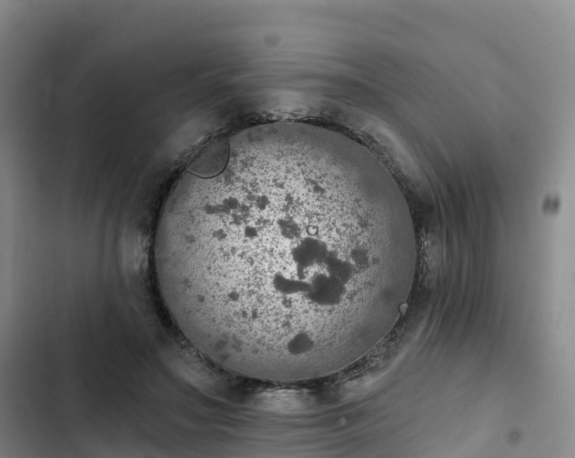 X0000102770499200808251055