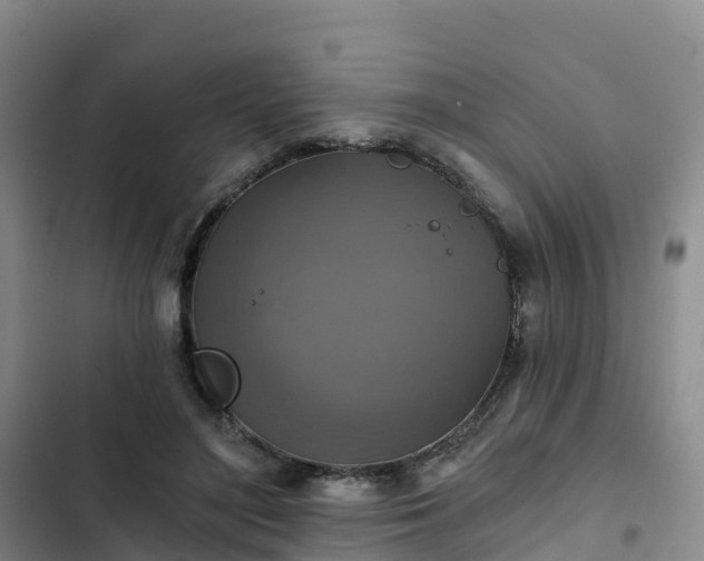 X0000102770500200808251055