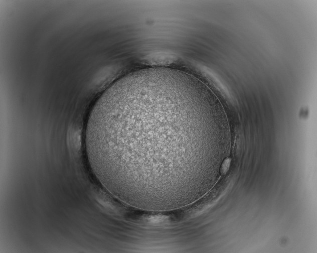 X0000102770501200808251055