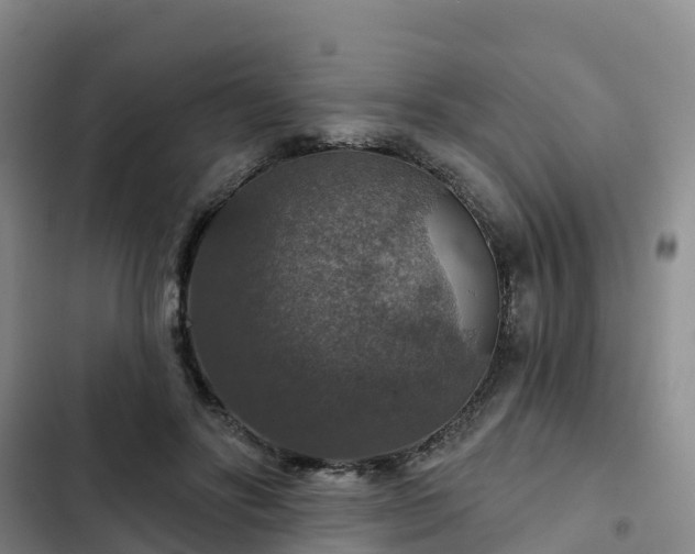 X0000102770502200808251055