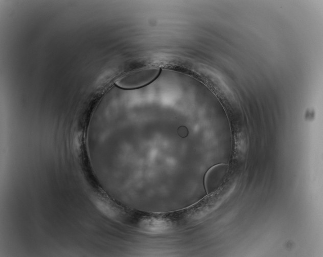 X0000102770503200808251055