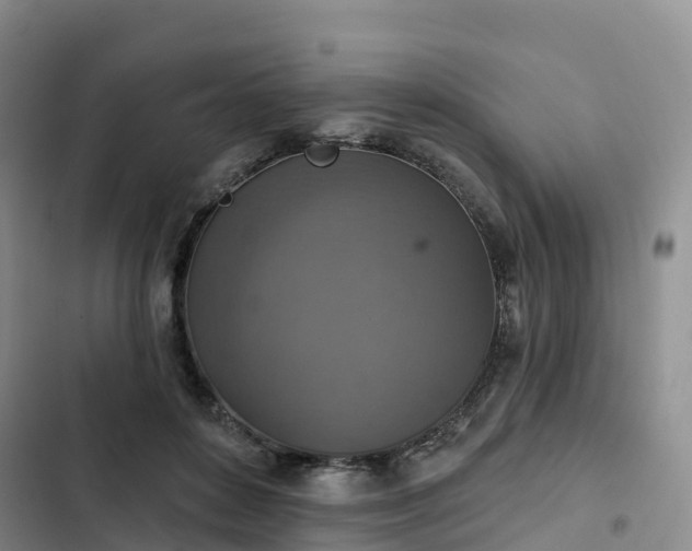 X0000102770504200808251055