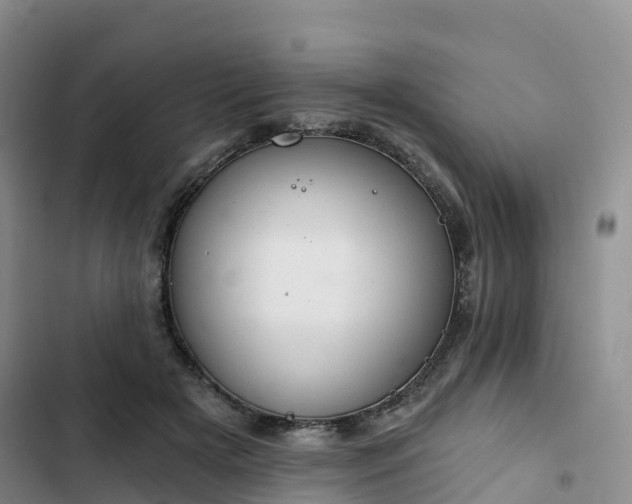 X0000102770505200808251055