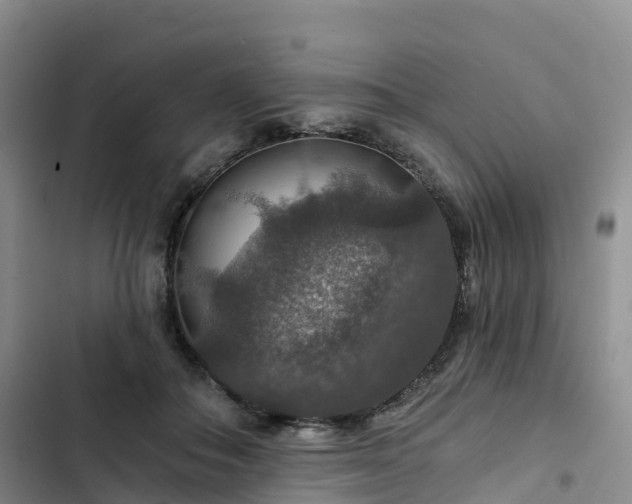 X0000102770506200808251055