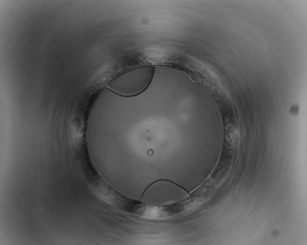 X0000102770507200808251055