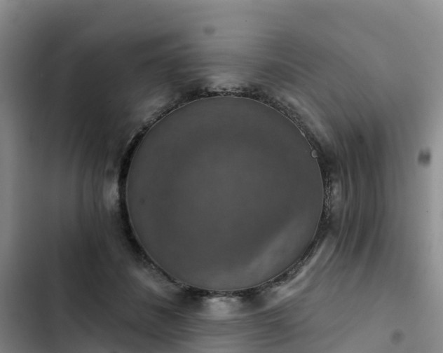 X0000102770508200808251055