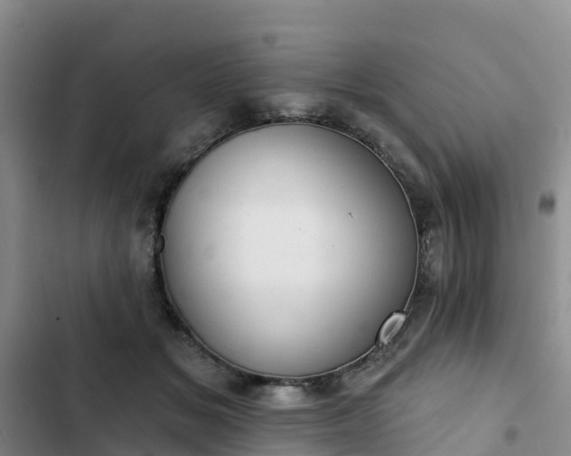 X0000102770509200808251055