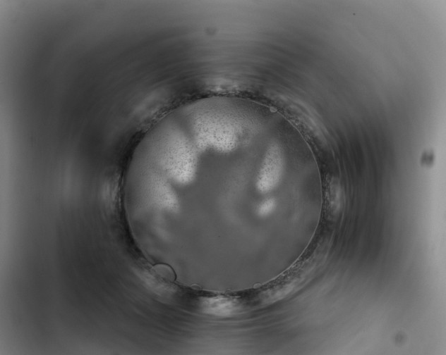 X0000102770511200808251055