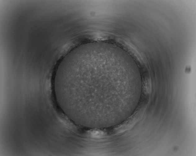 X0000102770512200808251055