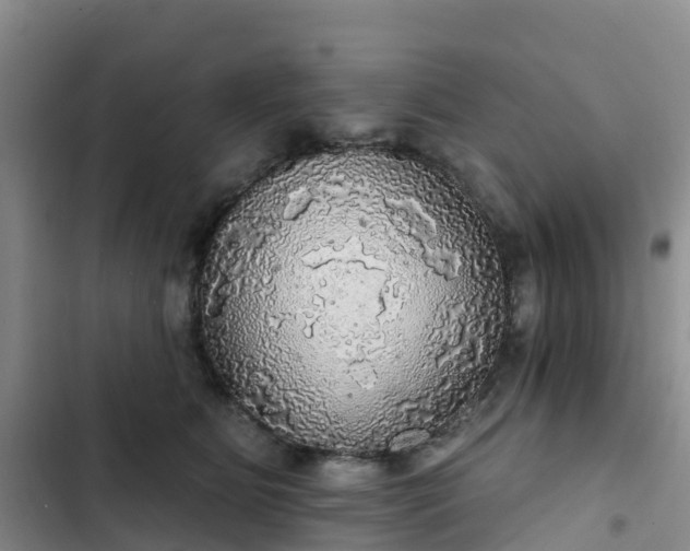 X0000102770515200808251055