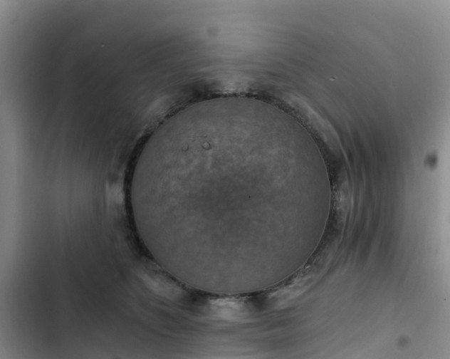 X0000102770516200808251055