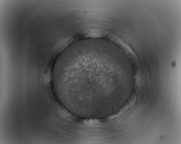 X0000102770517200808251055