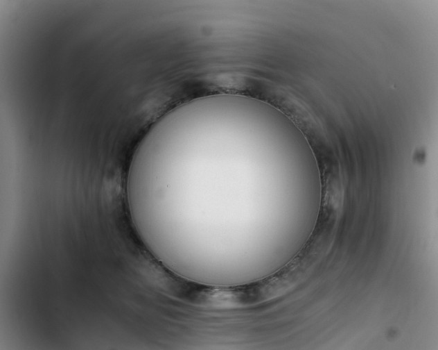 X0000102770518200808251055