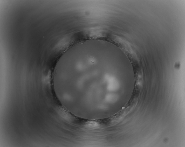 X0000102770519200808251055