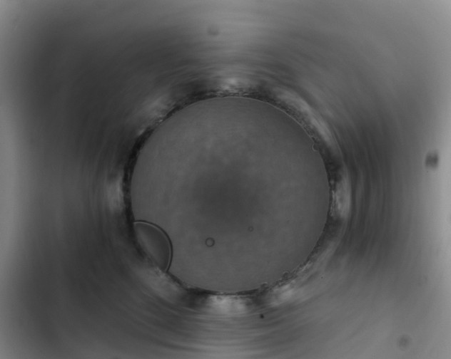 X0000102770520200808251055