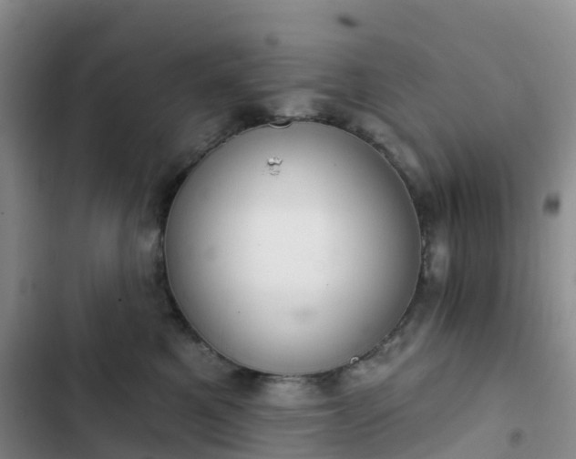 X0000102770521200808251055