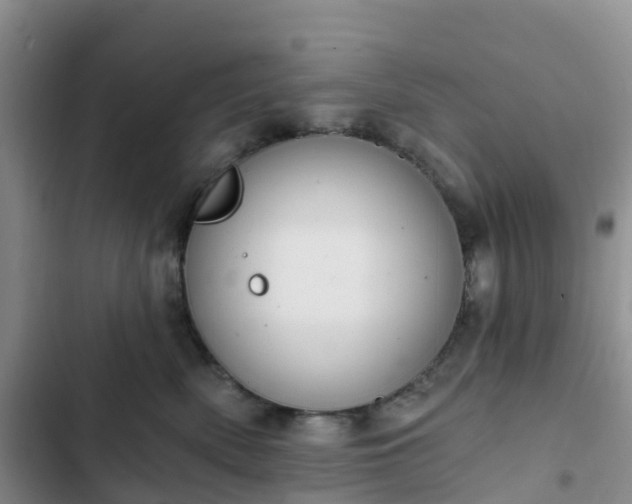 X0000102770522200808251055