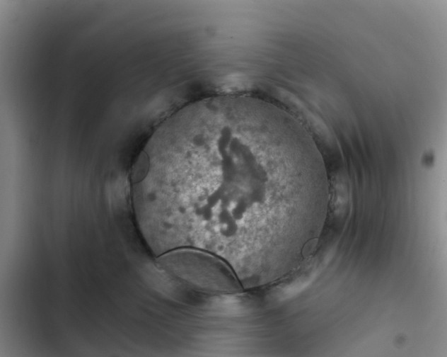 X0000102770523200808251055