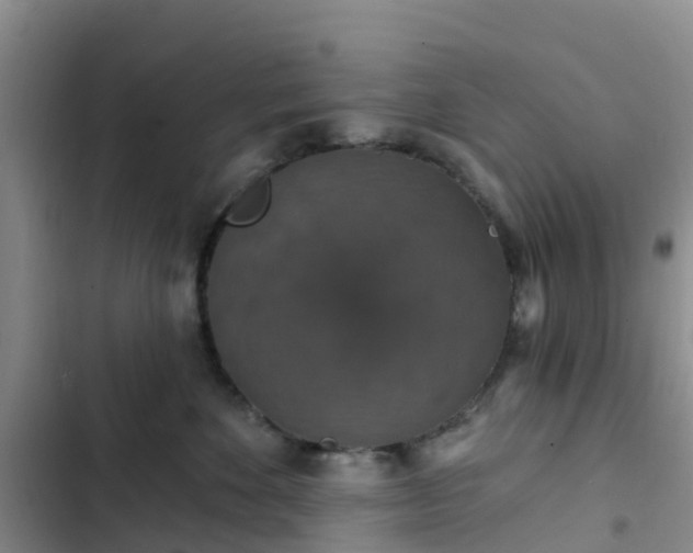 X0000102770524200808251055