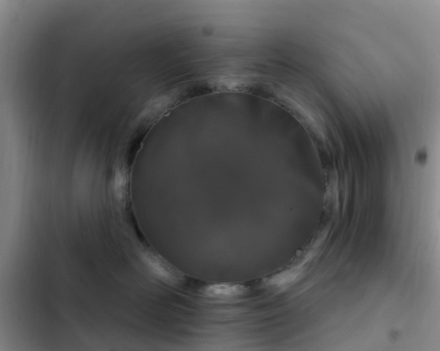 X0000102770526200808251055