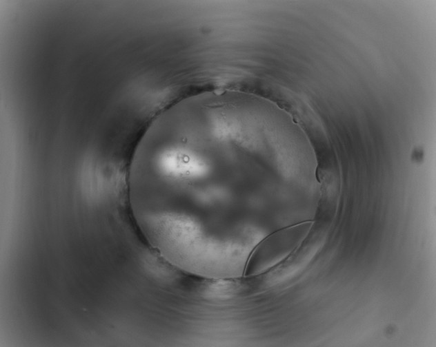 X0000102770527200808251055