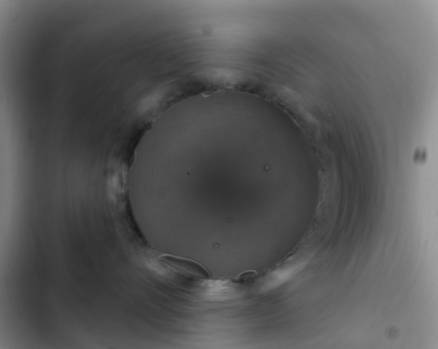 X0000102770528200808251055