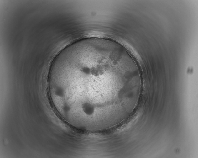 X0000102770529200808251054