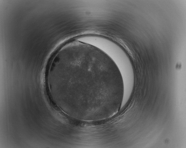 X0000102770531200808251054