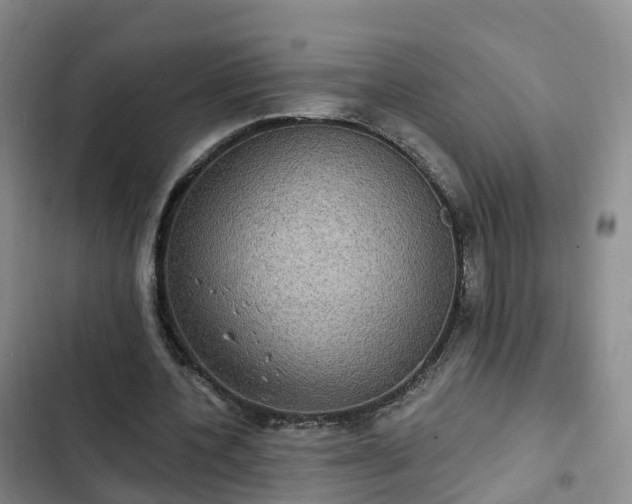 X0000102770532200808251054