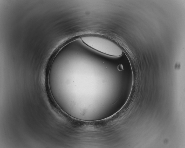 X0000102770534200808251054