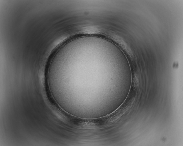 X0000102770535200808251054