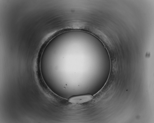 X0000102770536200808251054