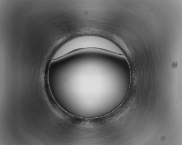 X0000102770538200808251054